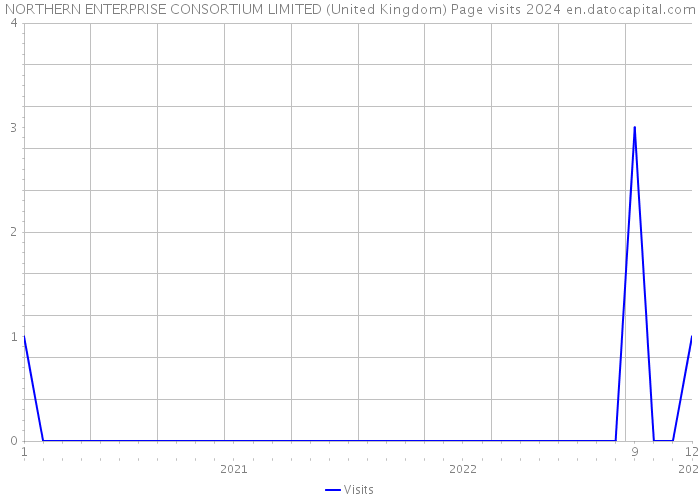 NORTHERN ENTERPRISE CONSORTIUM LIMITED (United Kingdom) Page visits 2024 
