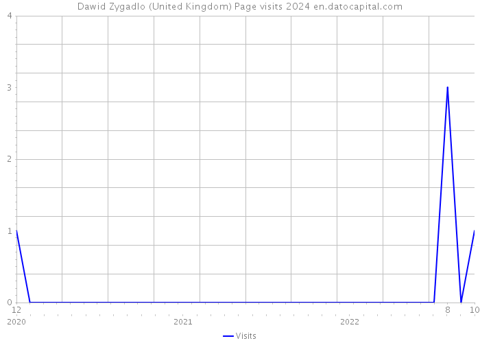Dawid Zygadlo (United Kingdom) Page visits 2024 