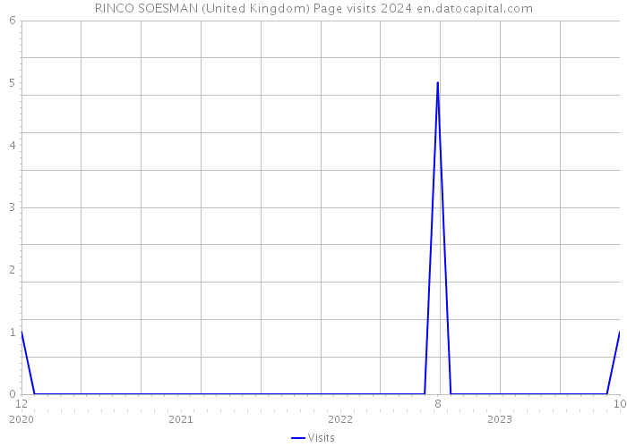 RINCO SOESMAN (United Kingdom) Page visits 2024 