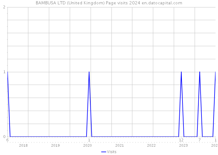 BAMBUSA LTD (United Kingdom) Page visits 2024 