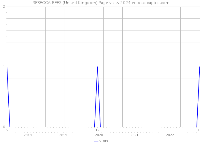 REBECCA REES (United Kingdom) Page visits 2024 