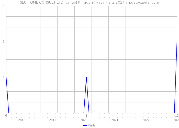 SEU HOME CONSULT LTD (United Kingdom) Page visits 2024 