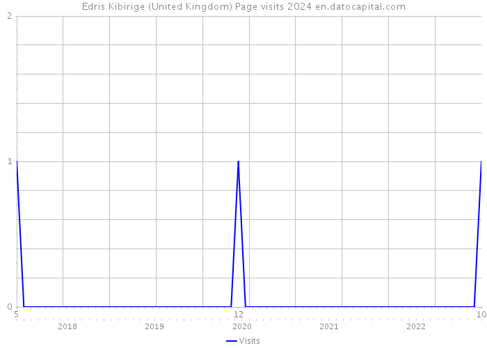 Edris Kibirige (United Kingdom) Page visits 2024 