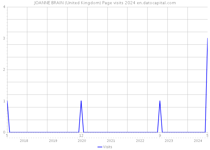 JOANNE BRAIN (United Kingdom) Page visits 2024 