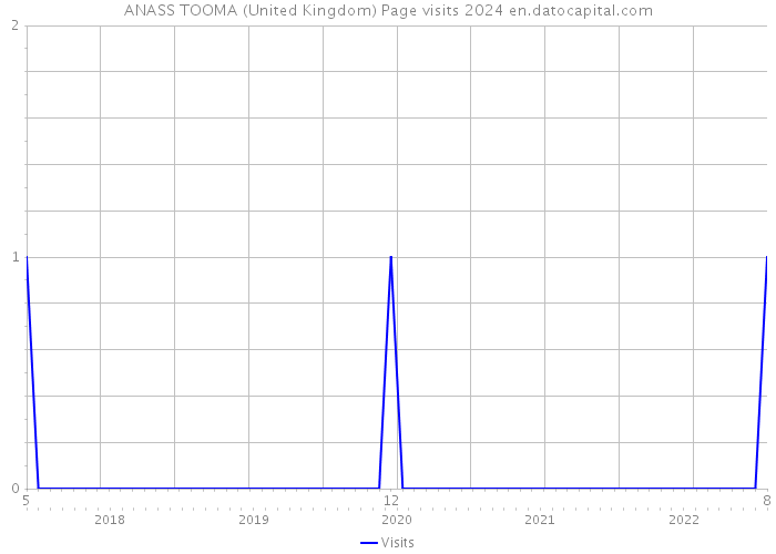 ANASS TOOMA (United Kingdom) Page visits 2024 