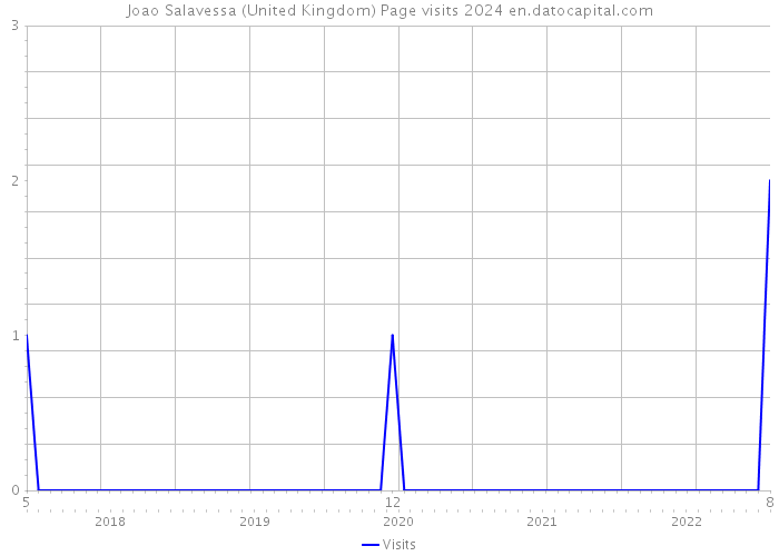 Joao Salavessa (United Kingdom) Page visits 2024 