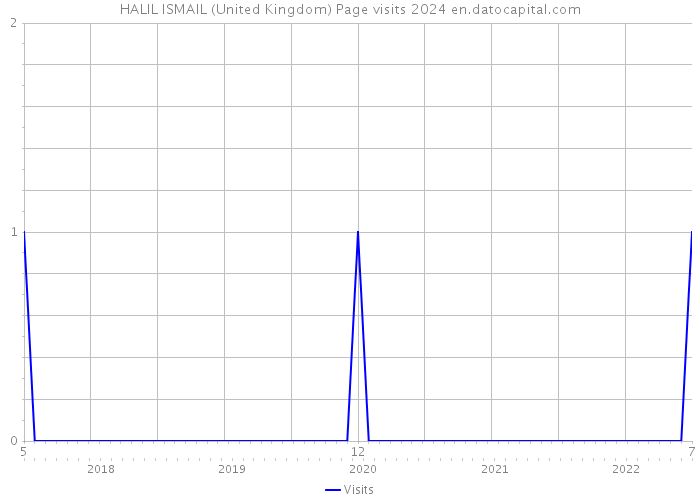 HALIL ISMAIL (United Kingdom) Page visits 2024 