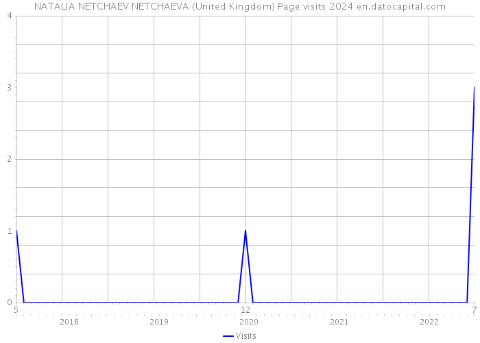 NATALIA NETCHAEV NETCHAEVA (United Kingdom) Page visits 2024 