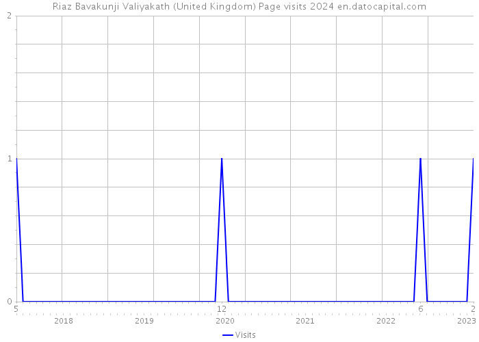 Riaz Bavakunji Valiyakath (United Kingdom) Page visits 2024 