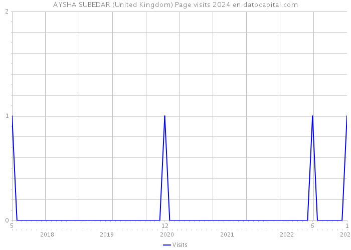 AYSHA SUBEDAR (United Kingdom) Page visits 2024 