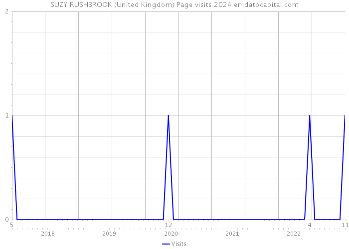 SUZY RUSHBROOK (United Kingdom) Page visits 2024 