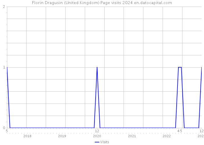 Florin Dragusin (United Kingdom) Page visits 2024 