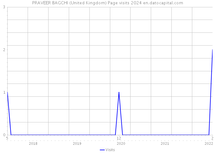 PRAVEER BAGCHI (United Kingdom) Page visits 2024 