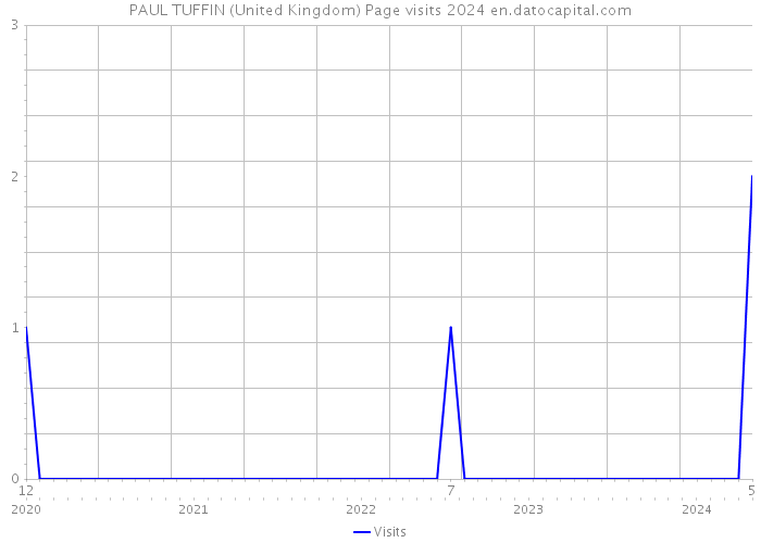 PAUL TUFFIN (United Kingdom) Page visits 2024 