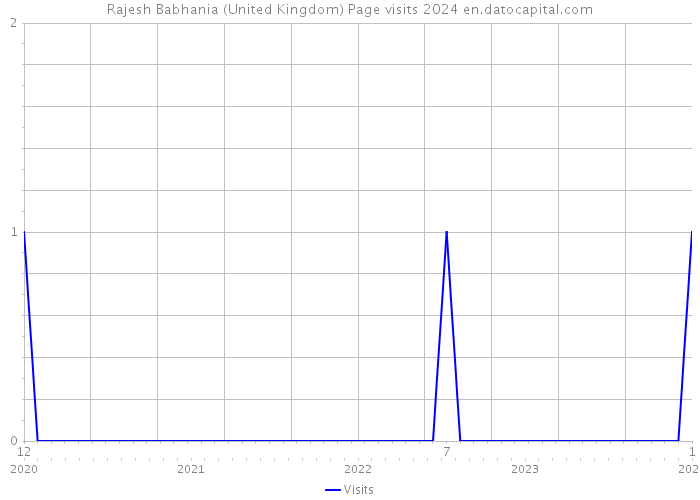 Rajesh Babhania (United Kingdom) Page visits 2024 