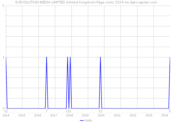 R/EVOLUTION MEDIA LIMITED (United Kingdom) Page visits 2024 