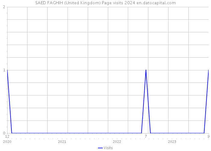 SAED FAGHIH (United Kingdom) Page visits 2024 