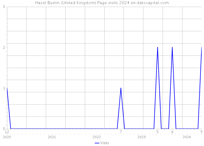Hazel Bustin (United Kingdom) Page visits 2024 