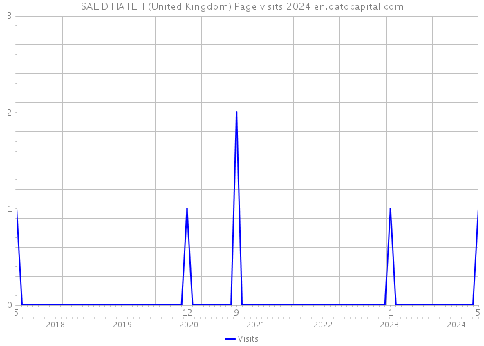 SAEID HATEFI (United Kingdom) Page visits 2024 
