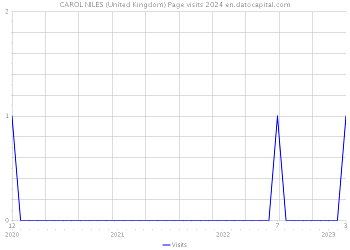 CAROL NILES (United Kingdom) Page visits 2024 