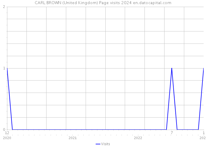 CARL BROWN (United Kingdom) Page visits 2024 