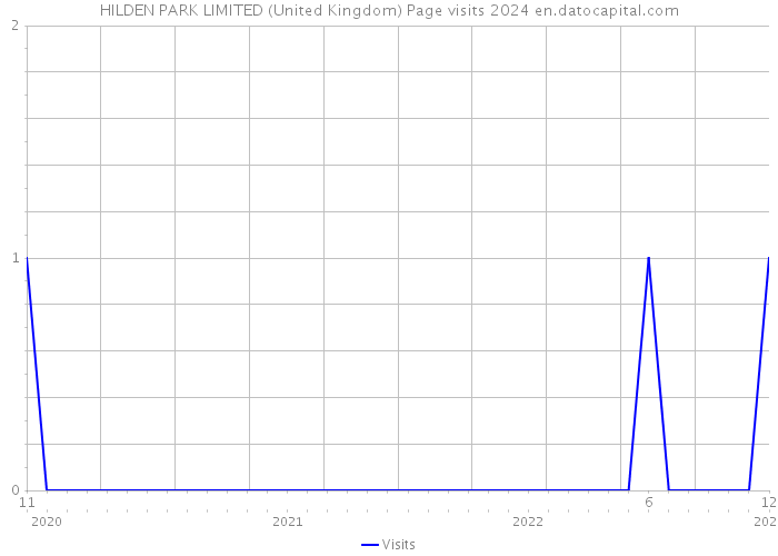 HILDEN PARK LIMITED (United Kingdom) Page visits 2024 