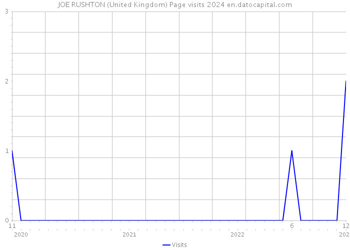 JOE RUSHTON (United Kingdom) Page visits 2024 