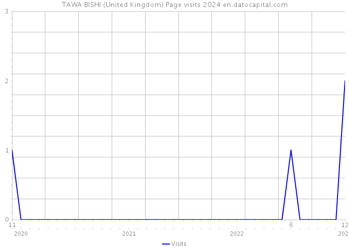 TAWA BISHI (United Kingdom) Page visits 2024 