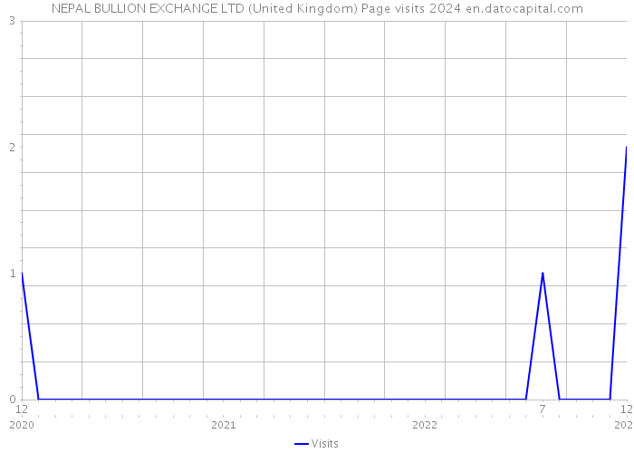 NEPAL BULLION EXCHANGE LTD (United Kingdom) Page visits 2024 