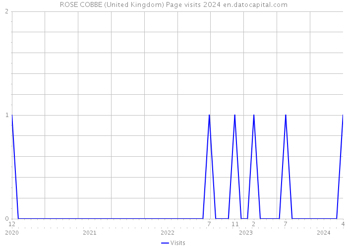 ROSE COBBE (United Kingdom) Page visits 2024 