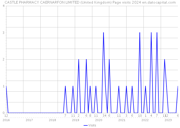 CASTLE PHARMACY CAERNARFON LIMITED (United Kingdom) Page visits 2024 