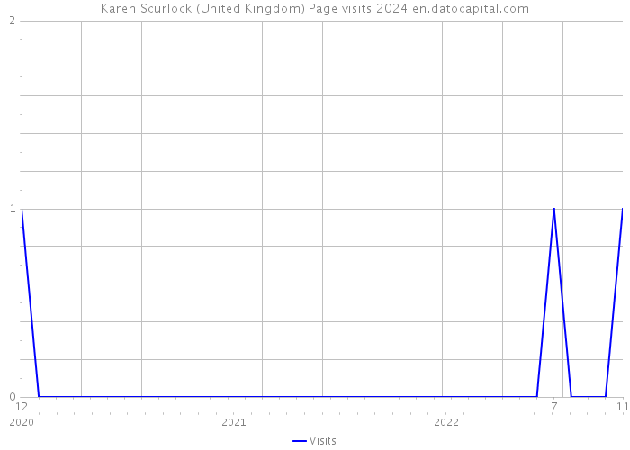 Karen Scurlock (United Kingdom) Page visits 2024 