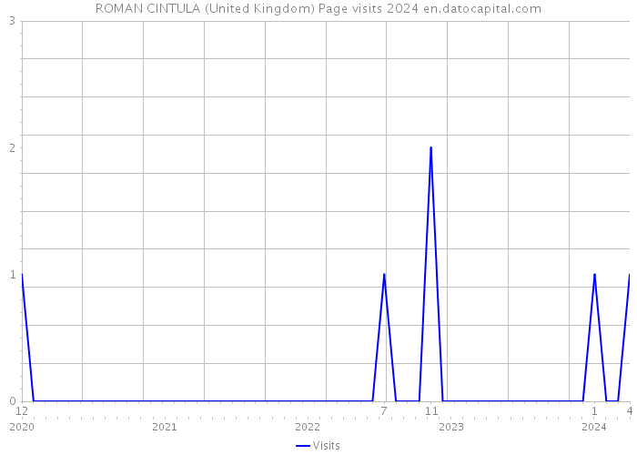 ROMAN CINTULA (United Kingdom) Page visits 2024 