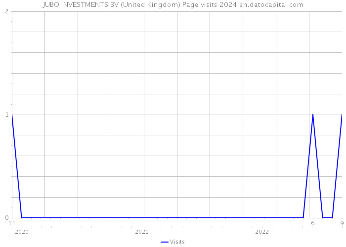 JUBO INVESTMENTS BV (United Kingdom) Page visits 2024 