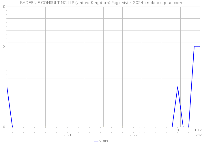 RADERNIE CONSULTING LLP (United Kingdom) Page visits 2024 