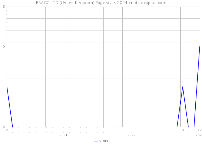 BRAGG LTD (United Kingdom) Page visits 2024 