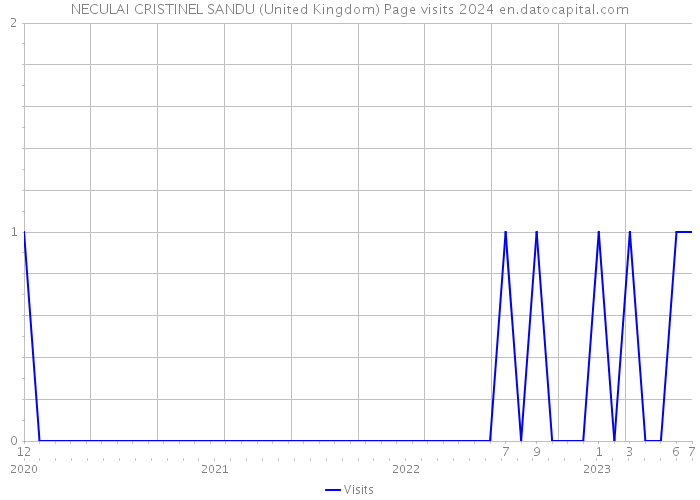 NECULAI CRISTINEL SANDU (United Kingdom) Page visits 2024 