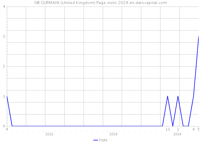 NB GURMANI (United Kingdom) Page visits 2024 