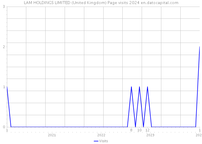 LAM HOLDINGS LIMITED (United Kingdom) Page visits 2024 