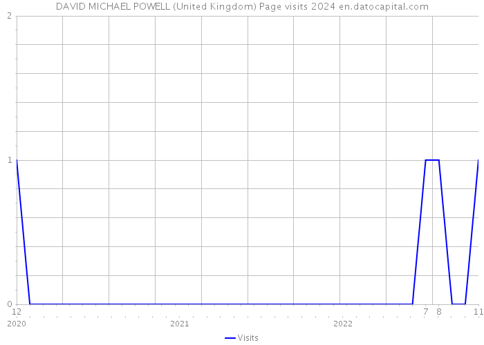 DAVID MICHAEL POWELL (United Kingdom) Page visits 2024 