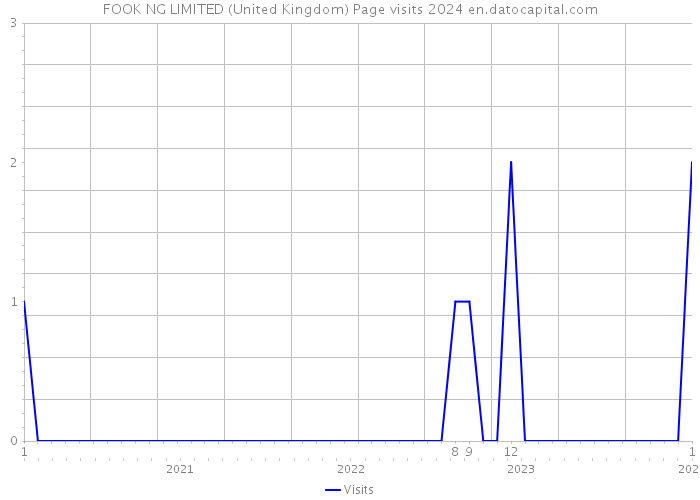 FOOK NG LIMITED (United Kingdom) Page visits 2024 