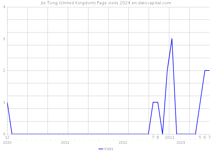 Jie Tong (United Kingdom) Page visits 2024 