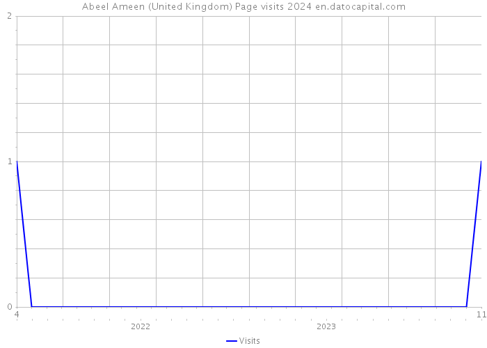 Abeel Ameen (United Kingdom) Page visits 2024 