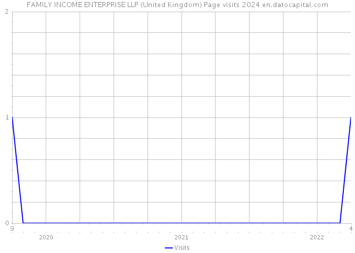 FAMILY INCOME ENTERPRISE LLP (United Kingdom) Page visits 2024 