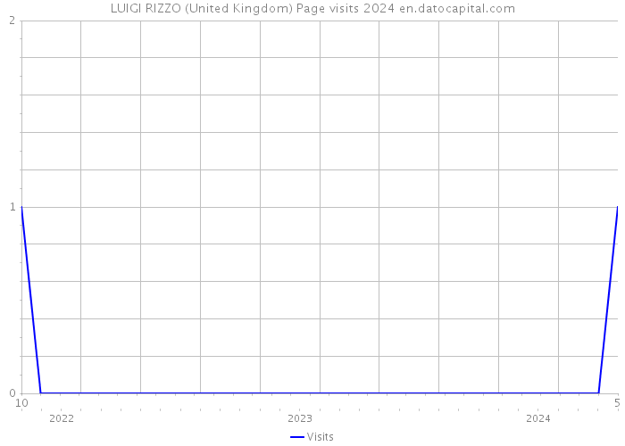 LUIGI RIZZO (United Kingdom) Page visits 2024 