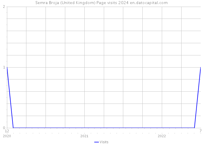 Semra Broja (United Kingdom) Page visits 2024 