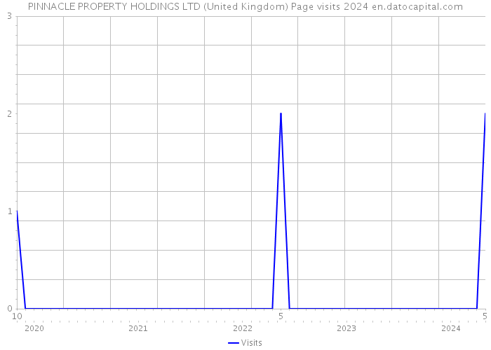 PINNACLE PROPERTY HOLDINGS LTD (United Kingdom) Page visits 2024 