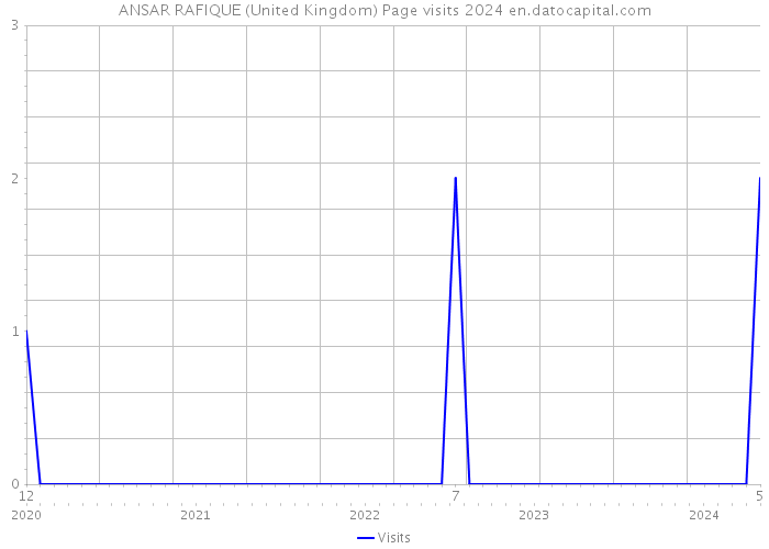 ANSAR RAFIQUE (United Kingdom) Page visits 2024 