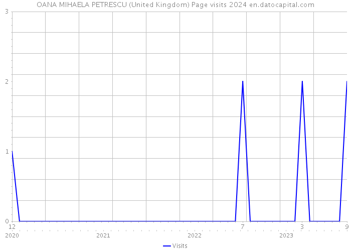 OANA MIHAELA PETRESCU (United Kingdom) Page visits 2024 