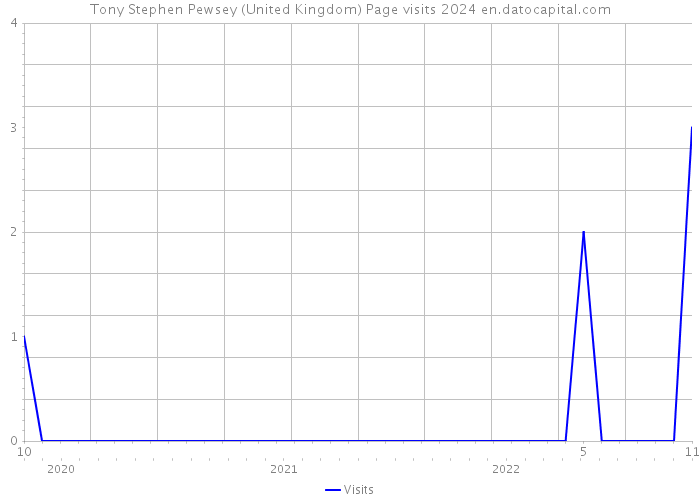 Tony Stephen Pewsey (United Kingdom) Page visits 2024 